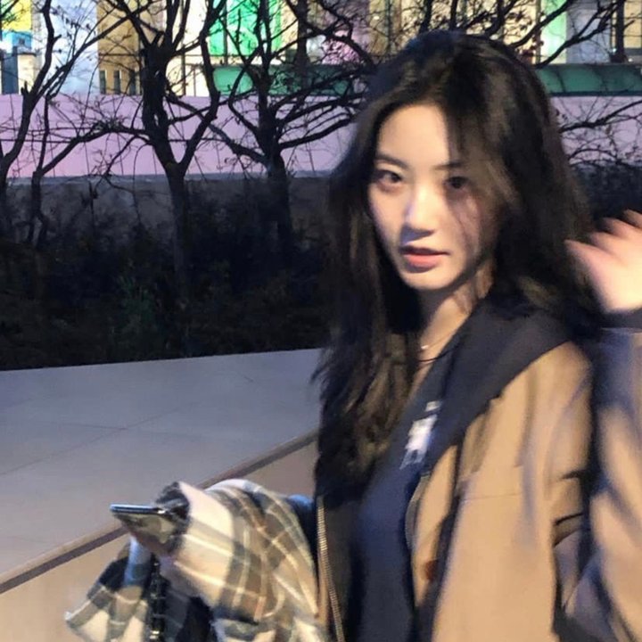 鲨与鲸
